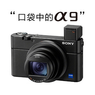SONY 索尼 DSC-RX100M7 RX100 VII数码相机