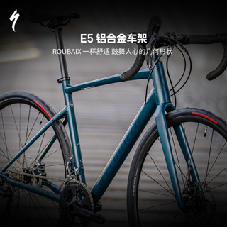 SPECIALIZED 闪电 ALLEZ E5 DISC SPORT碳纤维前叉公路自行车