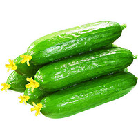 半亩庄园 小黄瓜 净重5斤