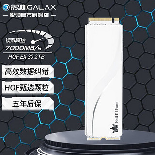 GALAXY 影驰 HOF EXTREME NVMe M.2 固态硬盘 2TB（PCI-E4.0）