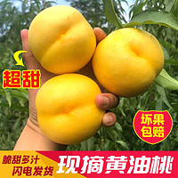 鲜姿 蒙阴黄金蜜油桃精选大果整箱水果礼盒 黄油桃4.5斤