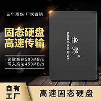 金磐 固态硬盘1TB