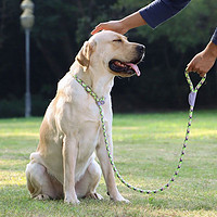 康贝尼 狗牵引绳p绳训犬p链狗绳反光小中大型犬遛狗绳子1.8米 宠物用品 S号/30斤内狗用