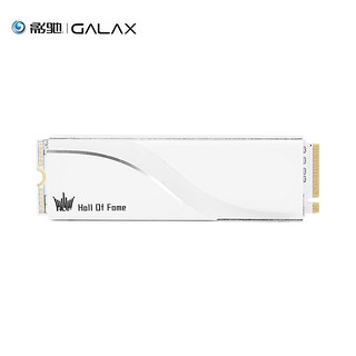 GALAXY 影驰 HOF EXTREME30 PCIE4.0 M.2接口 NVMe协议 台式机电脑SSD固态硬盘 HOF EXTREME 30 1TB