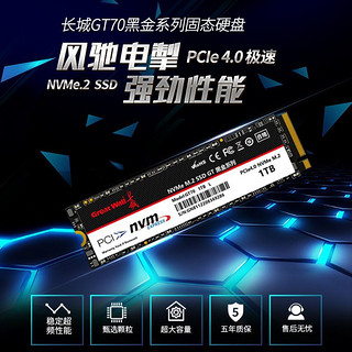 Great Wall 长城 GT70 NVMe M.2固态硬盘 1TB （PCIe 4.0）