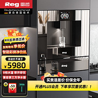 Reg 雷哲 V200嵌入式饮水机家用RO反渗透净水器