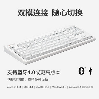 REALFORCE 燃风RealForce R3双模版蓝牙有线87键 静电容键盘 R3双模版108键白色全键45g键压