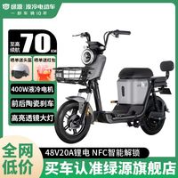 LUYUAN 绿源 ZFA 48V20Ah 铁锂电池 新国标电动自行车