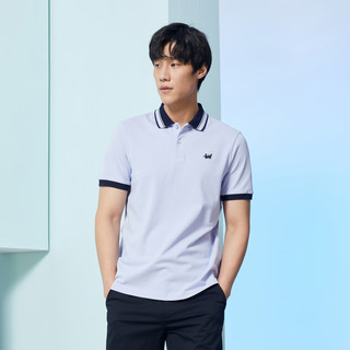 YOUNGOR 雅戈尔 男士POLO衫 VSPC533035FFA