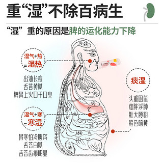 轻源起红豆健茯苓脾胃祛湿茶排去清除薏仁米体内湿气毒官方旗舰店