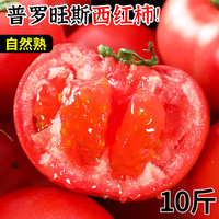 西红柿新鲜普罗旺斯水果番茄自然熟沙瓤蕃茄10斤大生吃的当季蔬菜