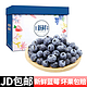 JD配送到家 蓝莓 125g*12盒装单果12-15mm