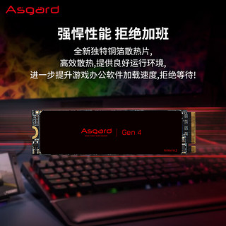 Asgard 阿斯加特 Lite 1TB SSD固态硬盘 M.2接口