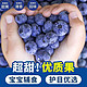 蓝莓鲜果  125g*12盒单果15mm+
