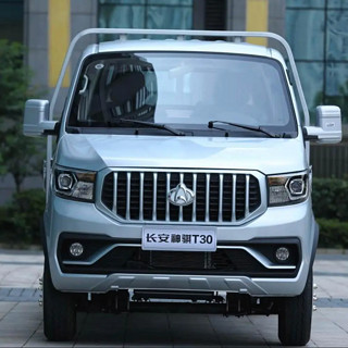 长安凯程 神骐T30 23款 1.6L 单排3.3米标准车舒适型 CNG