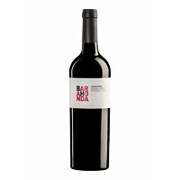 PLUS会员：BARAHONDA 巴洛侯 巴里卡 干红葡萄酒 2019年 750ml 单瓶
