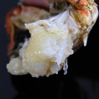 隆上记 大闸蟹鲜活 全母3.3-3.6两 8只 现货实物螃蟹礼盒 生鲜 海鲜水产