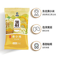 88VIP：邹有才 东北黄小米250g*4包杂粮黑龙江山西小黄米1kg