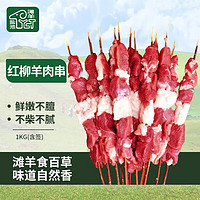 盐池滩羊 红柳羊肉串1kg（含签） 宁夏滩羊肉烤串烧烤食材 地标品牌