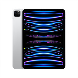 Apple 苹果 iPad Pro 11英寸 WLAN版平板电脑（2022年款）