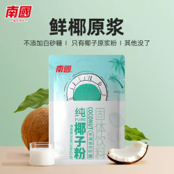南国 海南特产正宗原味冷萃纯椰子粉308g 椰汁椰奶粉 三亚特产咖啡伴侣