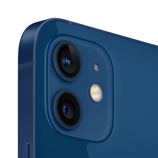 Apple 苹果12 iPhone 12 5G手机（ 12期分期可选）下单尊享豪礼 蓝色 256G（苹果原装20w闪充套装）