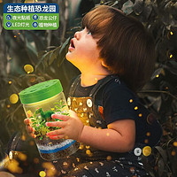 imybao 麦宝创玩 生态种植恐龙园生态恐龙DIY罐种植造景夜光植物玩具