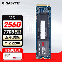 GIGABYTE 技嘉 SSD固态硬盘 M.2接口 NVMe协议 PCIe3.0 大容量 256G SSD M.2固态硬盘 三年保固 以换代修