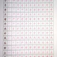 洪恩识字练字帖配套1300描红本练习册卡同步app启蒙笔画控笔打印