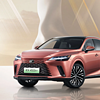 LEXUS 雷克萨斯 RX新能源23款 450h+ 畅享版