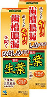 生葉 牙膏 预防牙槽脓漏 香草薄荷味 100克×2个