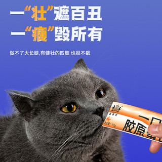 Navarch 耐威克 猫条猫咪零食60支湿粮包罐头