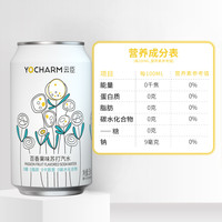 云臣(Yocharm) 百香果味原味气泡苏打水