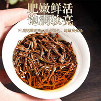 中广德盛 明前特细正山小种红茶正宗2022新茶蜜香嫩芽浓香高山红茶