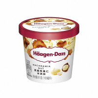 哈根达斯 夏威夷果仁口味 100ml