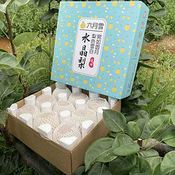 眉山六月雪梨 9斤装  特大果14个左右   甜如蜜