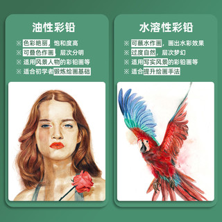 辉柏嘉彩铅油性水溶性彩铅24色36色48色72色100色纸盒铁盒彩色铅笔手绘涂色学生画画专用工具套装 36色+色卡+笔帘