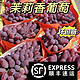  正宗东北茉莉香葡萄新鲜采摘3-3.5斤整串4~6串装包邮郁金香葡萄　