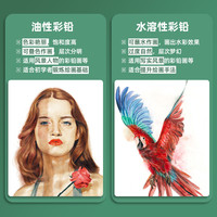 辉柏嘉彩铅油性水溶性彩铅24色36色48色72色100色纸盒铁盒彩色铅笔手绘涂色学生画画专用工具套装