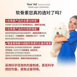 Your Vet 幼伟 宠物软骨素猫犬用 提升200%高浓缩 倍护版