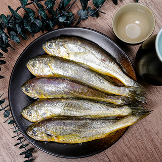 鸿顺 海捕小黄花鱼500g/包（10-12条） 海捕速冻 生鲜海鲜水产