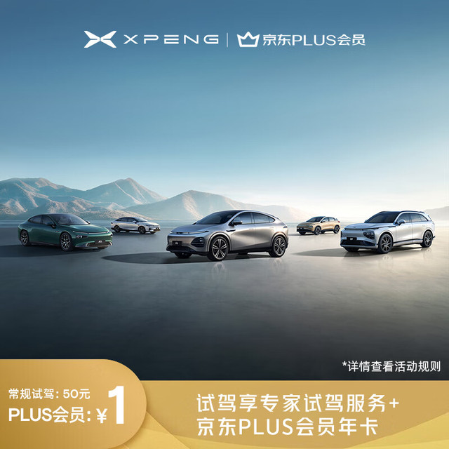 小鹏汽车 专家试驾小鹏汽车新能源汽车服务+Plus会员年卡 电动汽车新车SUV买车