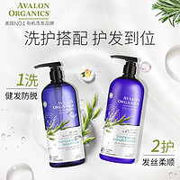 阿瓦隆 Avalon阿瓦隆生姜防脱除螨洗发水生姜控油蓬松孕妇正品946ML