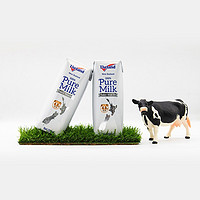 Theland 纽仕兰 4.0g蛋白质高钙全脂纯牛奶250ml*24 中秋送礼新西兰进口