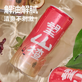 HOPE WATER 好望水 果汁气泡水望山楂汁330ml*4罐果味饮料健康山楂饮品解腻