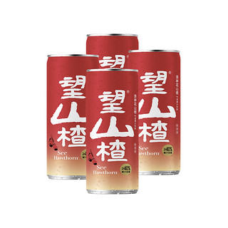 果汁气泡水望山楂汁330ml*4罐果味饮料健康山楂饮品解腻