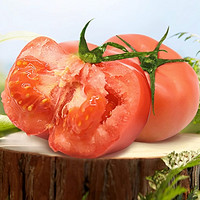 GREER 绿行者 桃太郎番茄西红柿 1.5kg