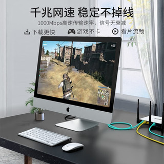  SAMZHE/山泽 千兆极速 六类网线  0.5米