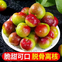 四川五月脆脱骨李子新鲜水果整箱当季应季红心李半边红青甜蜂糖李
