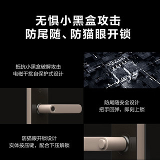 Aqara 绿米指纹锁N100 pro家用防盗门zigbee智能密码锁支持苹果homekit N100 Pro门锁（含安装）